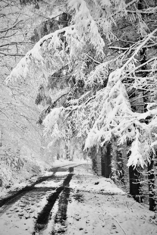 《B站-Freya英语零基础直达六级》从零基础直达六级，Freya老师用生动易懂的方式讲解语法与词汇，结合实用场景练习，帮助学习者系统建立英语体系