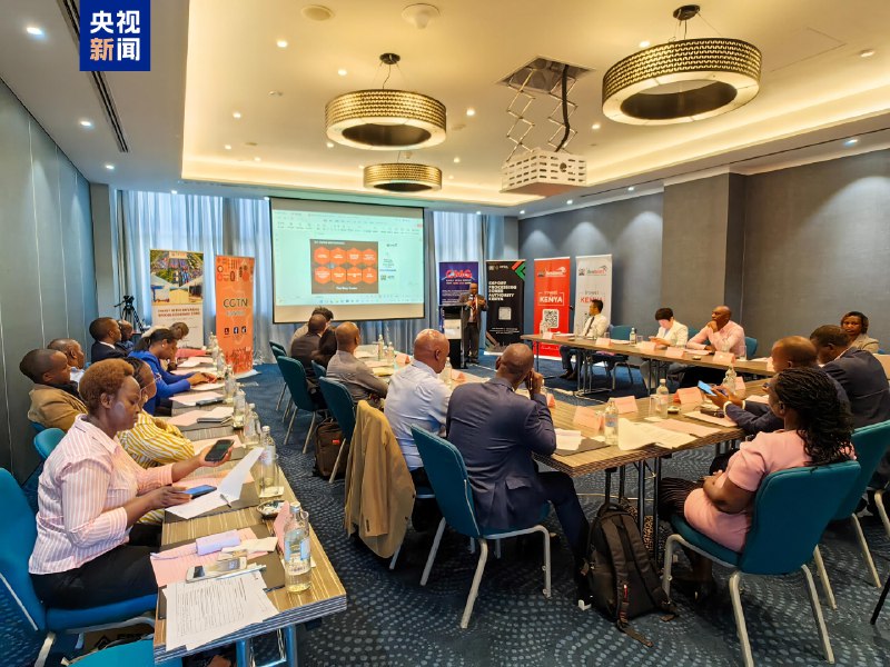 《被追赶的经济体》本书深度剖析后发国家在全球化中的发展困境，打破传统增长迷思，从制度、技术、资本多维度揭示“追赶陷阱”的根源，为理解中国经济转型与未来路径提供了极具启发的分析框架