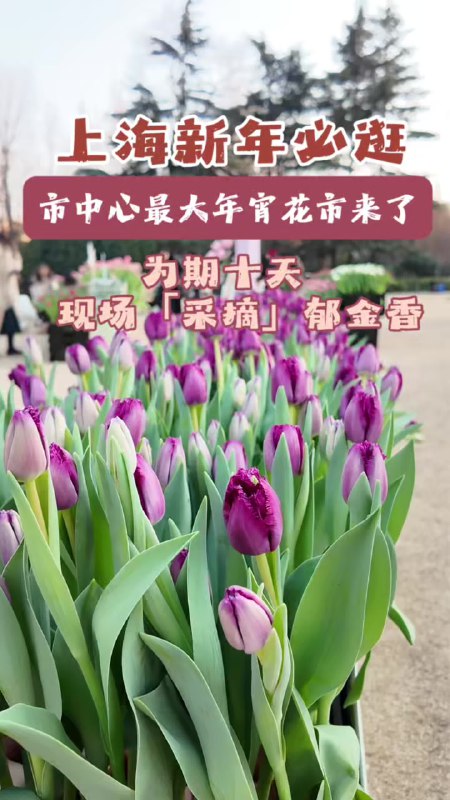 《越吃越瘦，16堂减脂餐轻松吃出健康好身材完结》本书打破节食减肥误区，提供16套科学营养的减脂餐方案，搭配简单易学的食谱与饮食原则