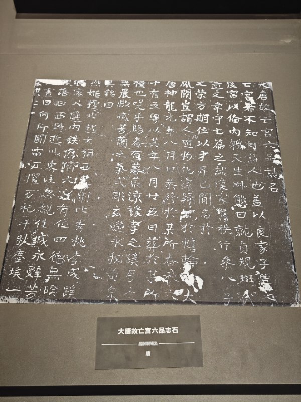 《人生解忧：佛学入门四十讲》本书以四十个日常困惑为引，用平实的语言阐释佛学智慧，不谈玄虚，专注解决现代人的情绪困扰与人生抉择