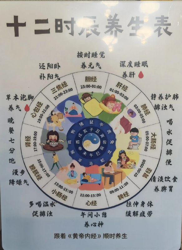 《中医养生资料补肾壮阳专题》深入解析肾虚的多种表现与成因，提供从食补到穴位的全方位调理方案，融合经典古方与现代养生技巧，帮助读者温和固本、提升阳气，适合不同体质人群参考实践