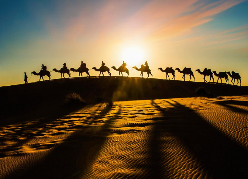 《交融与共生西夏陶瓷与社会生活》本书深入剖析西夏陶瓷的多元文化特征，揭示其如何融合中原与游牧技艺，并生动展现这些器物在饮食、宗教、贸易等日常生活中的角色，勾勒出一幅器物与社会交织的文明图景