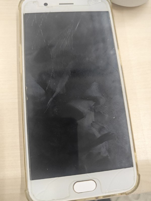 《海洋饼干：21天纤细腰腹训练课》21天针对性训练，每天15分钟高效燃脂，专攻腰腹顽固脂肪