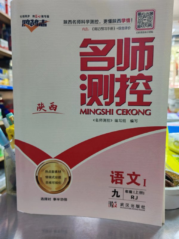 《王朝霞培优100分》本书紧扣课内知识，融入思维拓展训练，通过分层练习帮助孩子巩固基础、突破难点