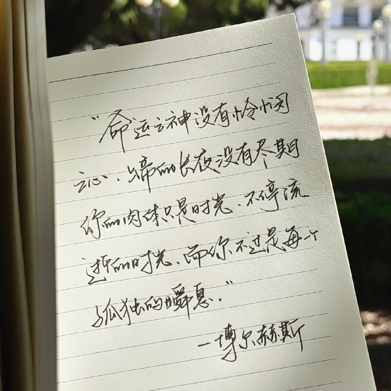 《文艺清新签名字体合集》精选多款文艺手写字体，笔触自然充满温度，适合签名、短句与个性化设计