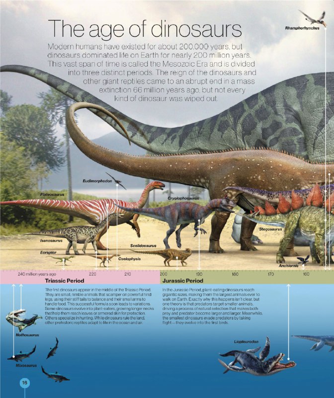 《青少年科普百科杂志万物 How it works》揭秘万物运转的科学原理，内容涵盖天文地理、生物科技等多元领域，通过生动图解与前沿案例激发好奇心，培养青少年的逻辑思维与探索精神