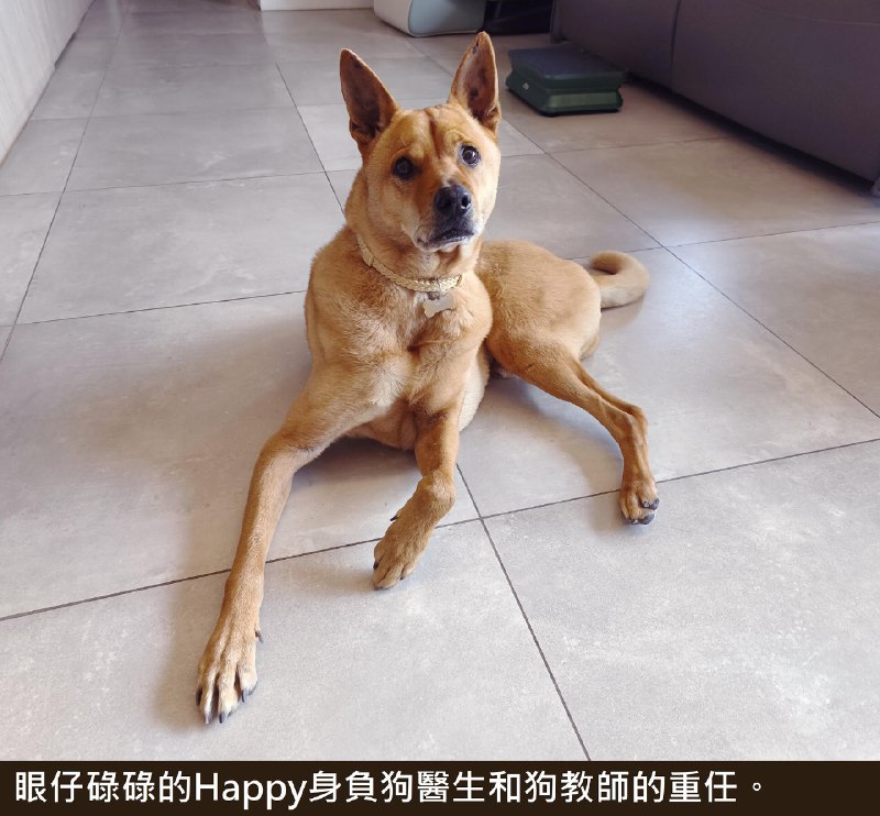 《现代女性冥想瑜伽课，做温柔有力量的大女主！》在快节奏生活中寻一处心灵栖息地，本课程专为现代女性设计，融合冥想与瑜伽精髓