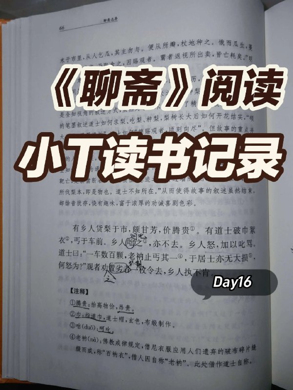 《初中生物14册高频会考点答题模板》本书精准提炼初中生物14册高频考点，提供标准化答题模板，帮助学生快速掌握解题思路，提升应试效率