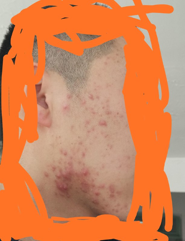 《女性调经养生瑜伽》针对女性生理周期设计，通过温和体式调节内分泌，缓解经期不适，提升内在能量