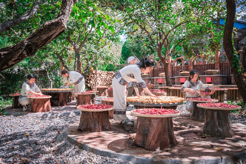 《我在乡村做书店》在乡野间筑起一座精神灯塔，店主以书为媒连接土地与人情，记录下开书店的酸甜苦辣与心灵收获