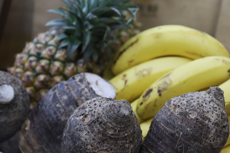 《饮食的谬误：别让那些流行饮食法害了你》本书直击流行饮食法的陷阱，用科学证据破除常见误区，引导读者建立均衡、可持续的饮食观