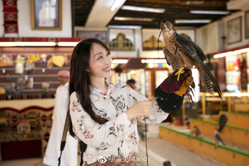 《金融占星(8集)[陈安逸占星院高高阶专题课]》课程深入解析金融与星象的联动，结合实战案例揭示市场周期规律