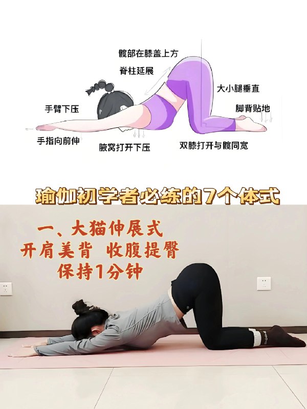 《瑜伽主题排课》融合呼吸与体式，课程编排科学流畅，从热身到高峰体式循序渐进，兼顾力量与柔韧平衡