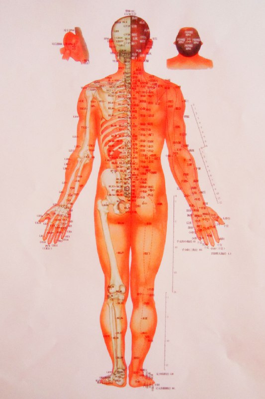 《中医高清脉学和经络图》本书采用高清图像技术，清晰呈现脉象特征与经络循行，结合临床实践详解中医诊断精髓，是学习者直观掌握脉诊与经络知识的实用指南