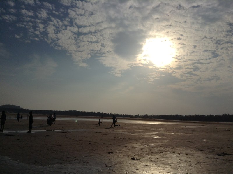 《叶老师英语 48个国际音标速记》叶老师独创音标速记法，将抽象符号转化为生动图像与口诀，帮助学习者快速掌握发音要领