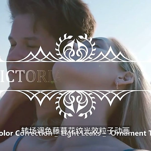 《AE预设-500种浪漫婚礼爱情文字标题转场调色藤蔓花纹光效粒子动画》精选500款浪漫婚礼主题动画，包含文字标题、转场特效、调色预设及藤蔓花纹等元素，轻松为视频增添唯美氛围