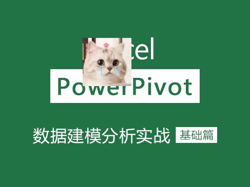 资源: Excel教程Excel Power Pivot建模分析_基础篇 掌握Power独家 Pivot核心建模技巧，轻松整合海《Excel教程Excel Power Pivot建模分析_基础篇》量数据，实现高效商业智能分析，大幅提升数据处理能力