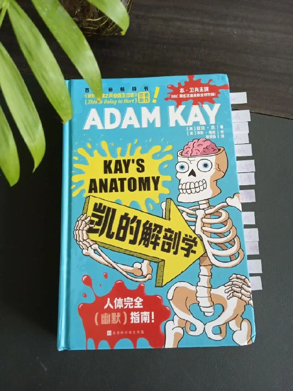 《儿童趣味医学科普凯叔叔系列 ADAM KAY (电子书+音频) 》爆笑故事揭开身体奥秘，凯叔叔用幽默讲述健康知识，让孩子在欢乐中爱上医学