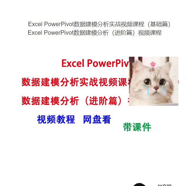 资源: Excel教程Excel Power Pivot建模分析_基础篇 掌握Power独家 Pivot核心建模技巧，轻松整合海《Excel教程Excel Power Pivot建模分析_基础篇》量数据，实现高效商业智能分析，大幅提升数据处理能力