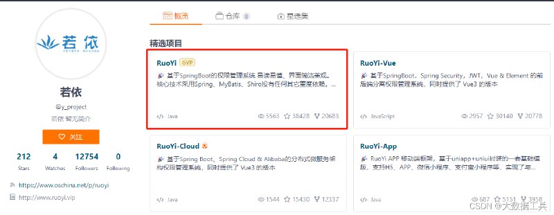 《若依框架系列视频教程-前端不分离版本》全面讲解若依框架前端整合，手把手教你快速开发企业级项目，提升开发效率与代码质量