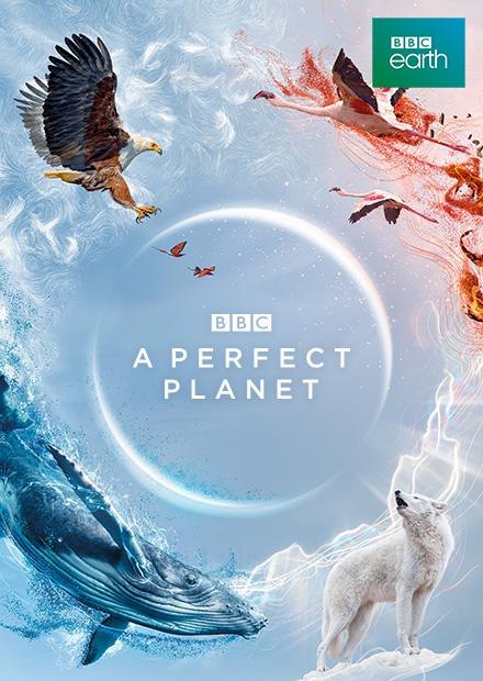 《A Perfect Planet(完美星球) 》探索地球自然力量的壮丽史诗，揭示生命与环境的微妙平衡，震撼视觉与心灵