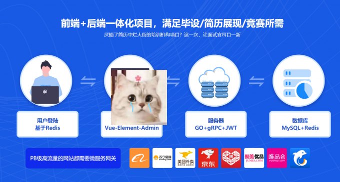 资源: Vue+Go开发企业级微服务网关项目 掌握微服务网关核心设计，结合Vue与Go实现高《Vue+Go开发企业级微服务网关项目》性能网关，涵刺激盖JWT、限流、熔断等企业级技术