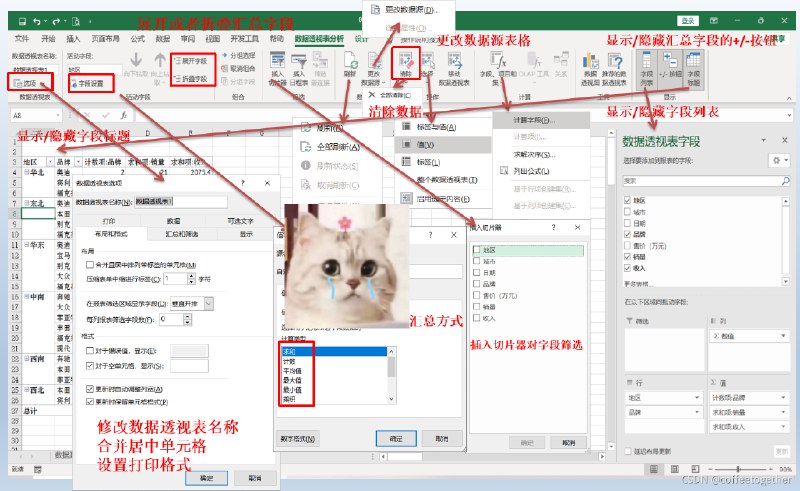 Excel数据透视经典教程 本书从实战出发，通过丰富案例教你快速吃瓜掌握数据透《Excel数据透视经典教程》视表，轻松解决数据汇总与分析难题，提升职场效率