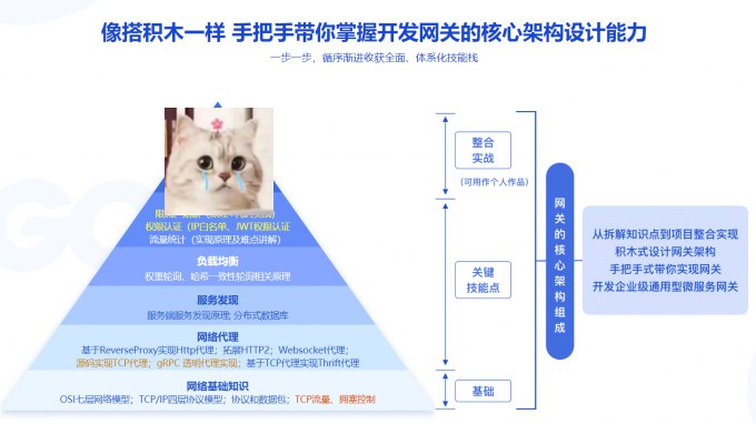 资源: Vue+Go开发企业级微服务网关项目 掌握微服务网关核心设计，结合Vue与Go实现高《Vue+Go开发企业级微服务网关项目》性能网关，涵刺激盖JWT、限流、熔断等企业级技术