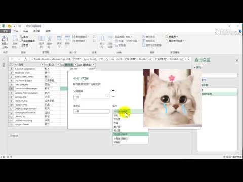 Power Query For Excel数据处理利器（第1季 基础操作篇） 掌握数据清洗与自动化处理，轻松应对复《Power Query For Excel数据处理利器（第1季 基础操作篇）》杂表格，提热门升办公效率，告别重复劳动