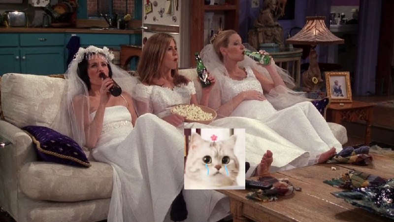 《美剧大爆炸：创作、脑洞和文化密码》揭秘神剧诞生内幕，从剧本到选角再到文化梗，深度解析美剧如何引爆全球热潮